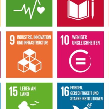 Die Sustainable Development Goals (SDGs) der Vereinten Nationen