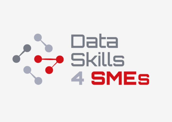 DataSkills4SME