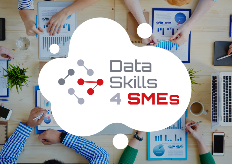 Data Skills 4 SMEs